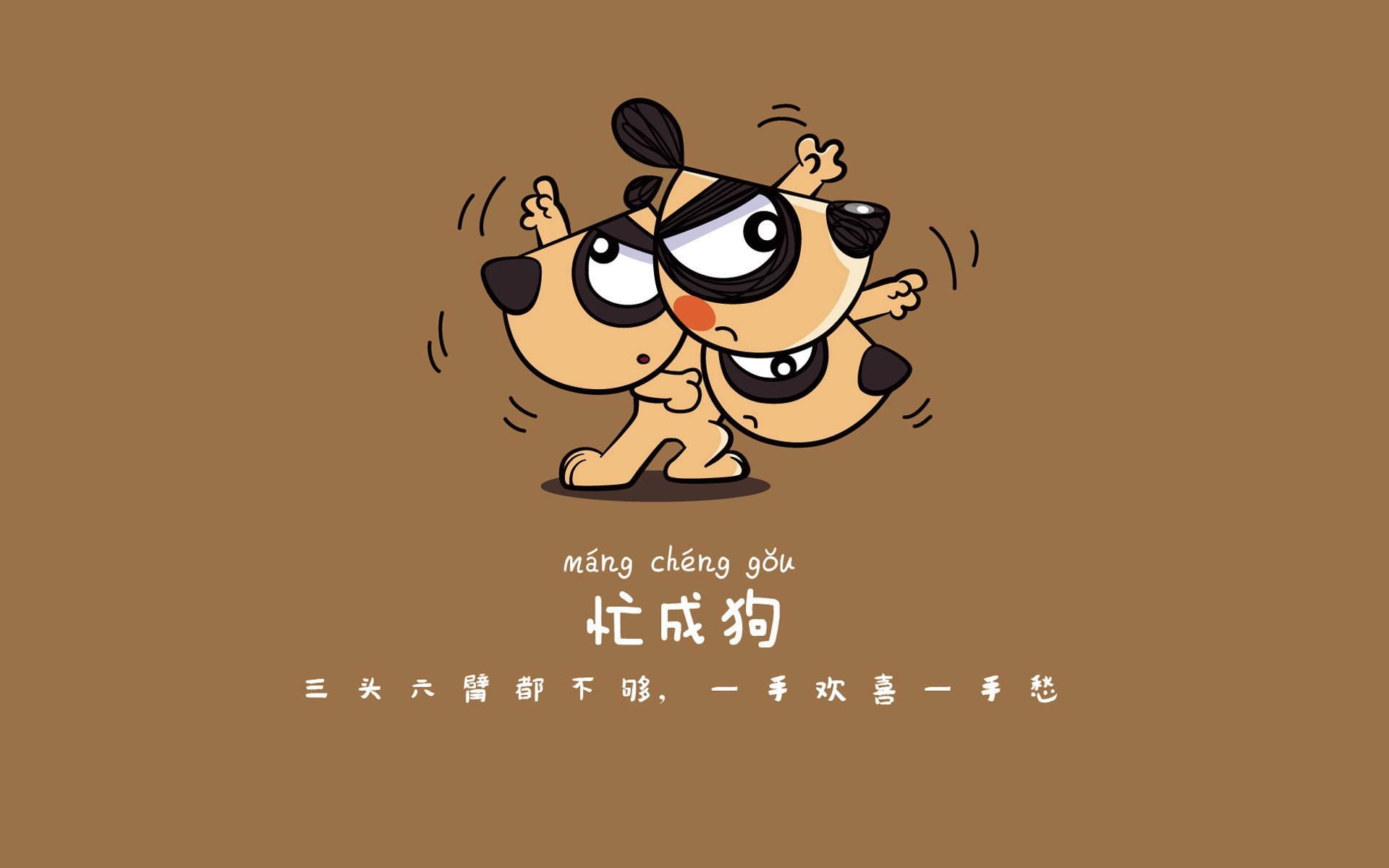 “猛龙的秘密:联盟最具战斗力的球队揭秘”,lol猛龙