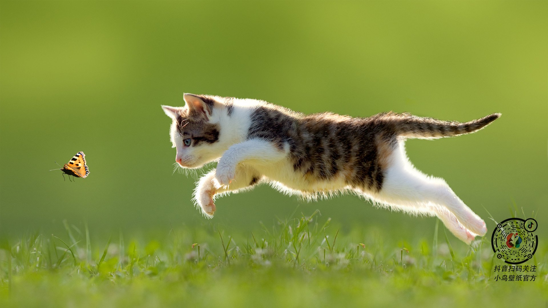 全国轮滑铁人赛，动感青春的速度狂欢，2021年轮滑公开比赛有哪几站