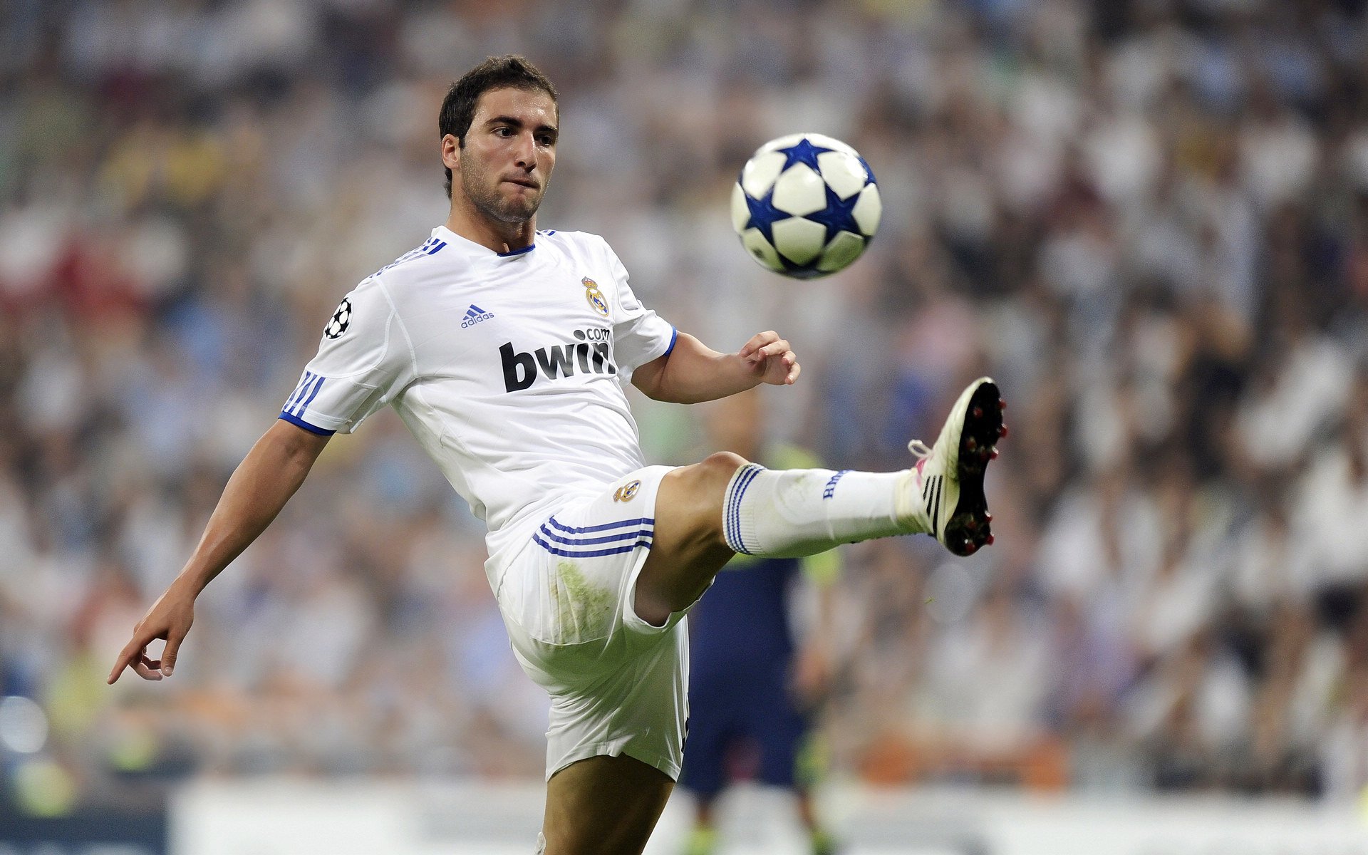 开云官方网站-多元包容理念引领橄榄球发展，多元包容标语